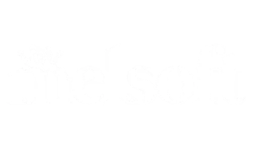 Melsoft Academy